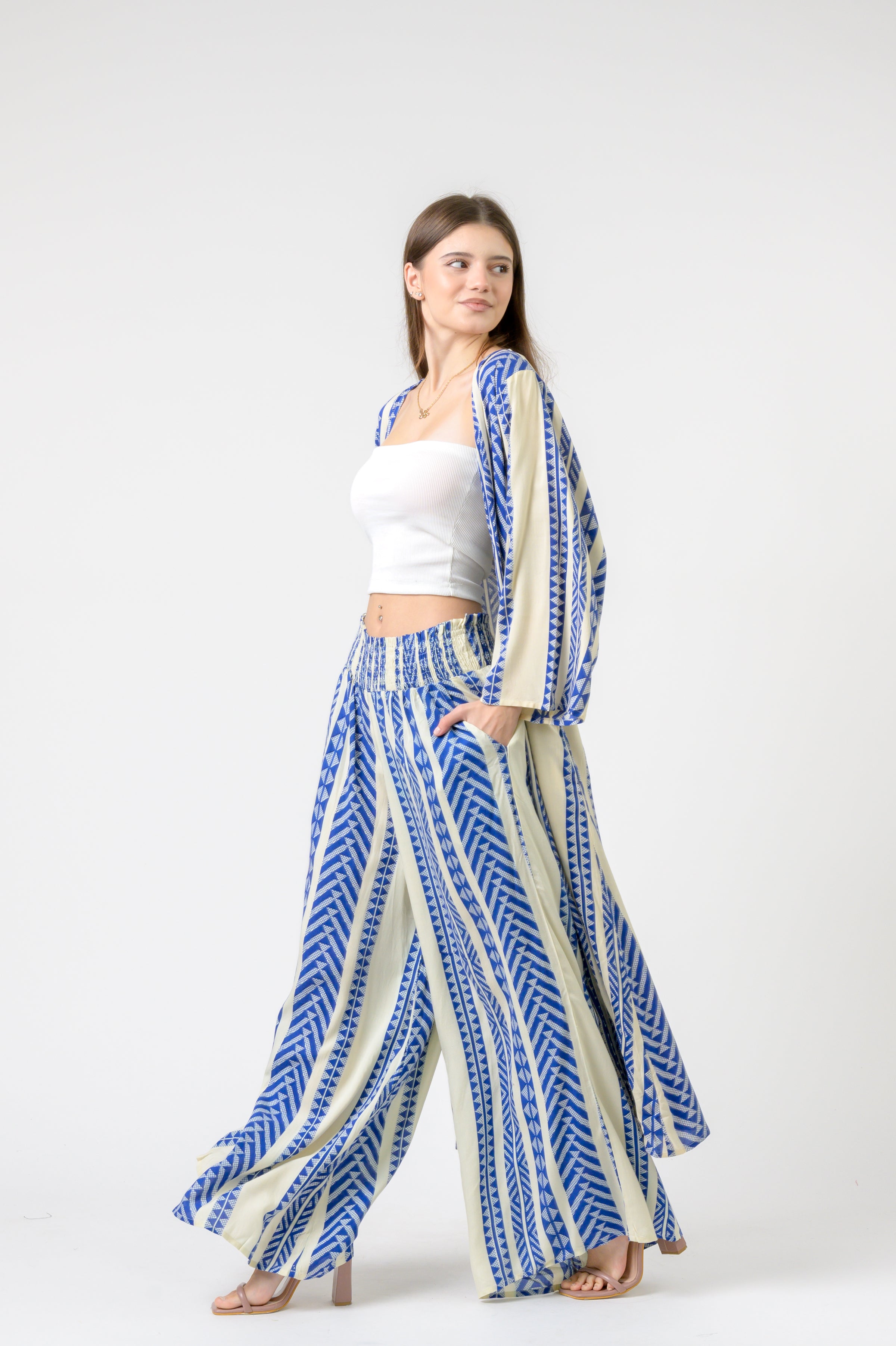 Aztec Print Palmas Pants - Blue