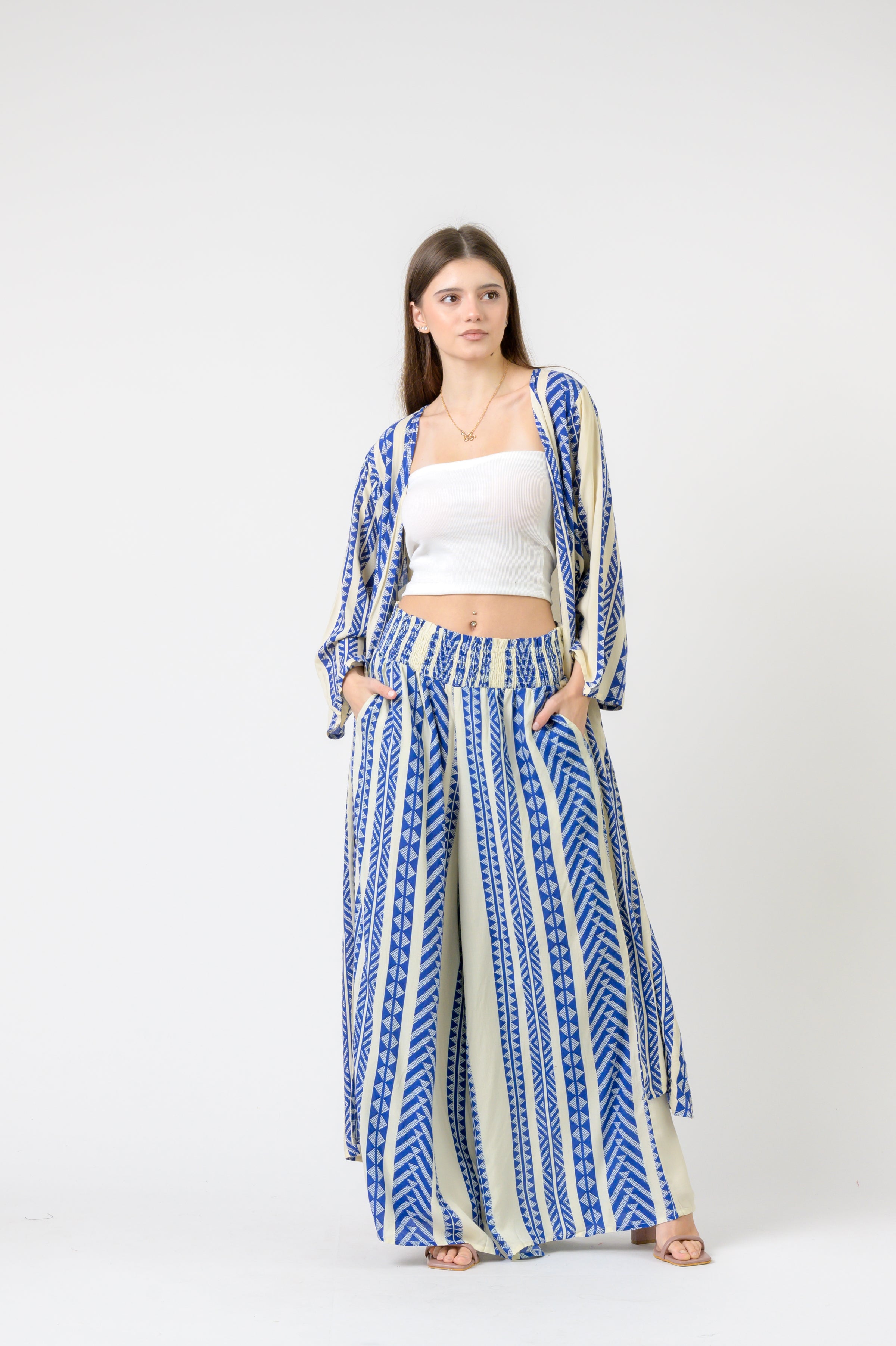 Aztec Print Palmas Pants - Blue