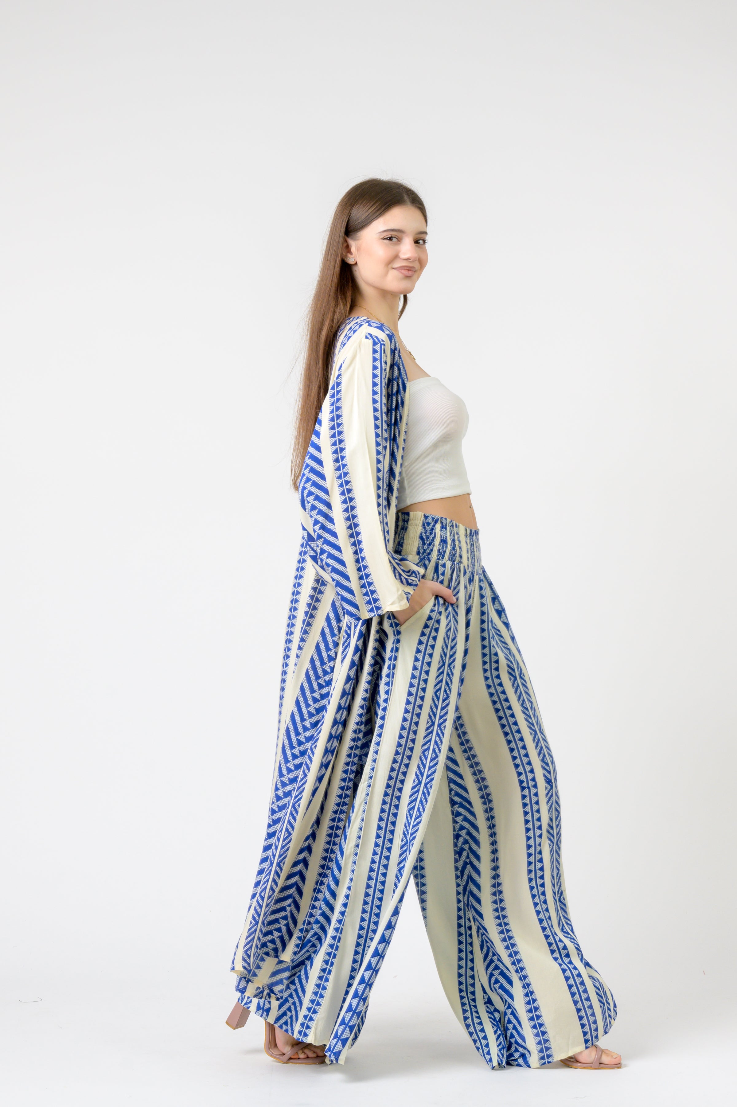Aztec Print Palmas Pants - Blue